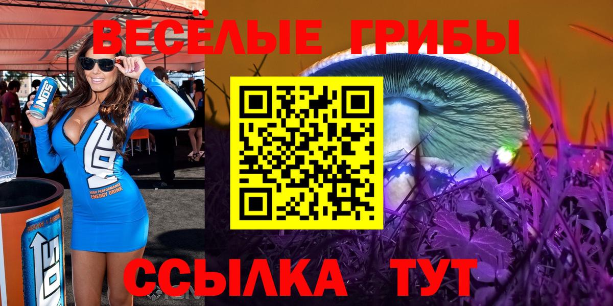 Галлюциногенные грибы MAGIC MUSHROOMS Каменка