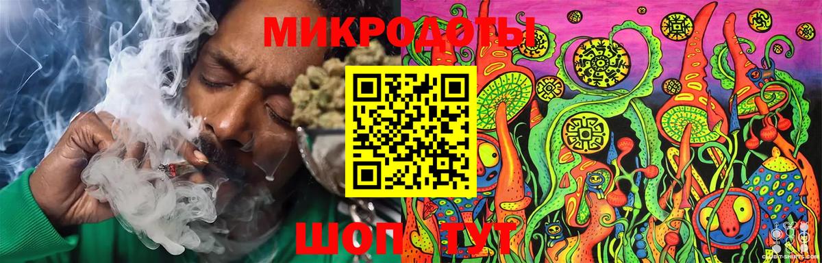 Псилоцибиновые грибы прущие грибы  Вход с VPN  Каменка 